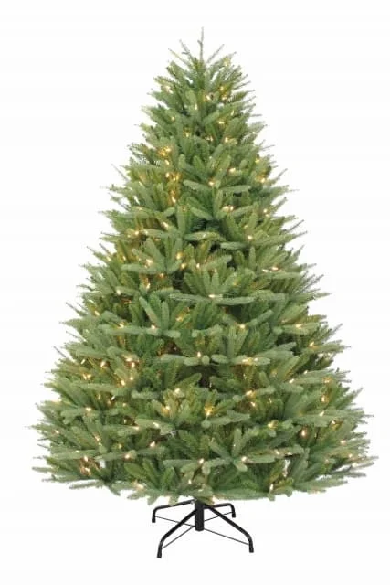 10' Ultra-Lit LED Salem Fir Clear