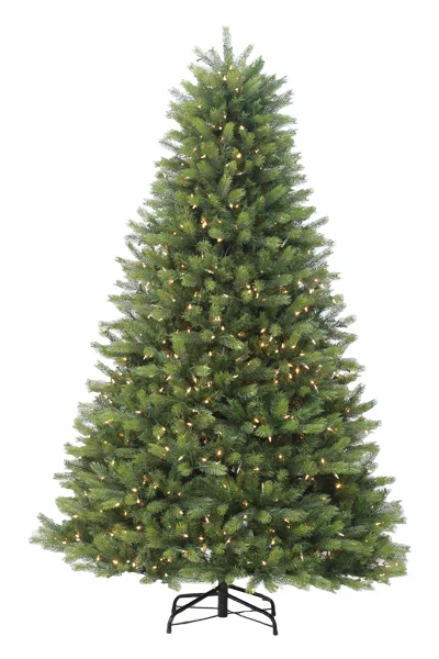 10' Ultra-Lit LED Brandford Fir Clear