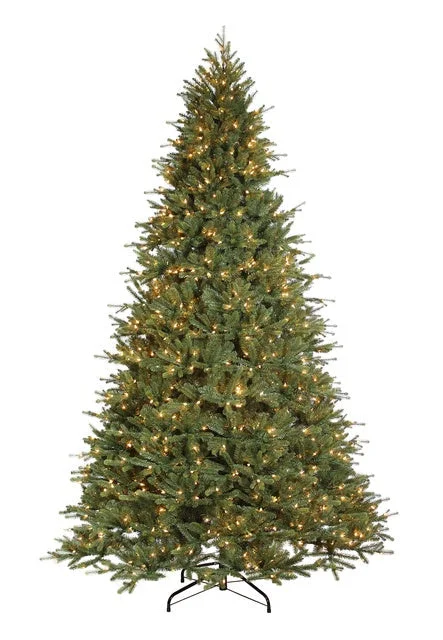 12' Ultra-Lit Ashville Fir LED Clear