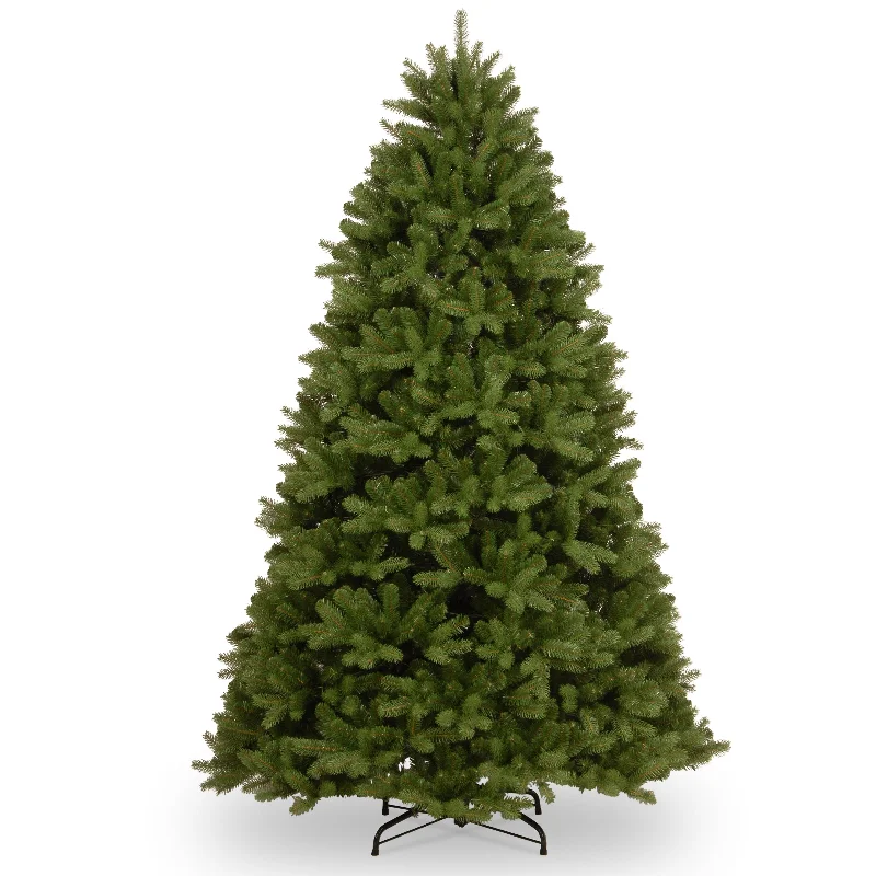 7.5 ft. Newberry Spruce Tree