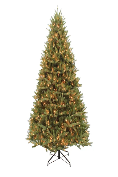 9' Ultra-Lit LED Brewster Fir Clear