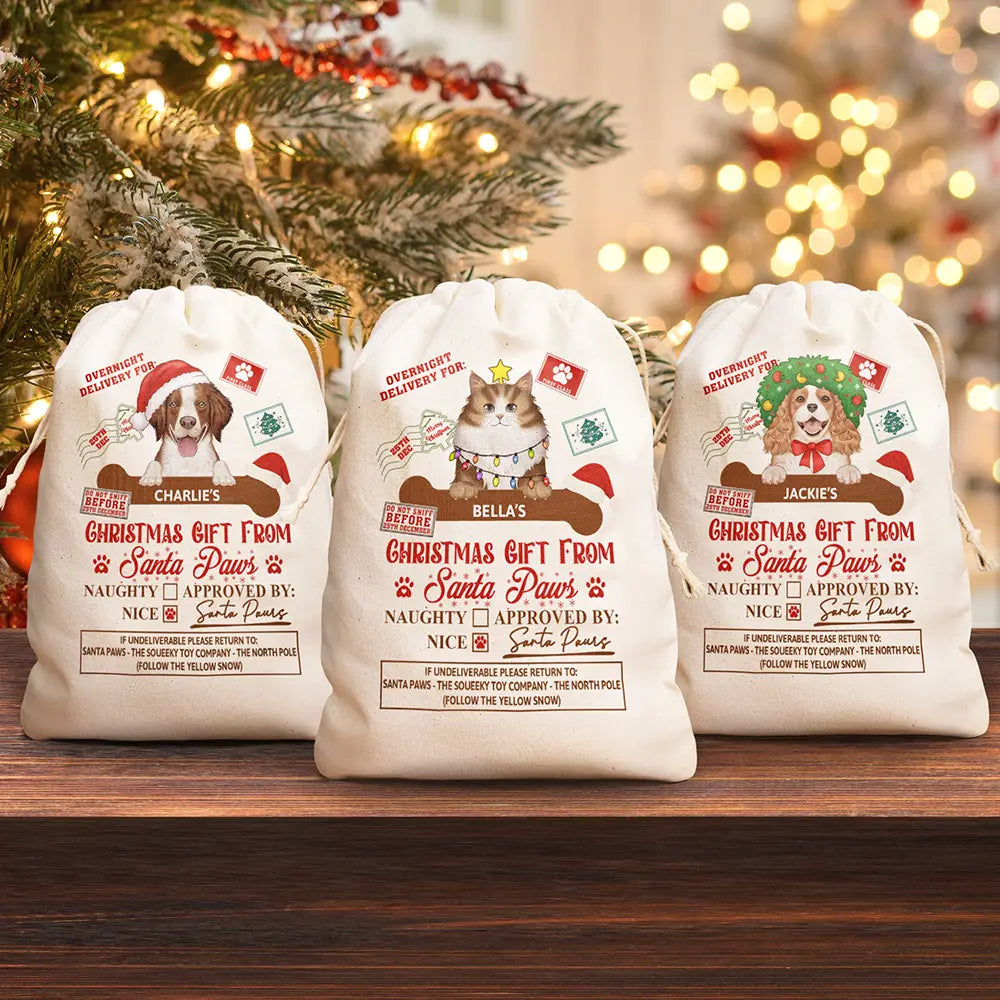 Christmas Gift From Santa Paws - Personalized Favor Bag