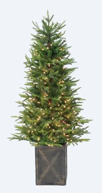 4' Ultra-Lit Wellington Fir Clear